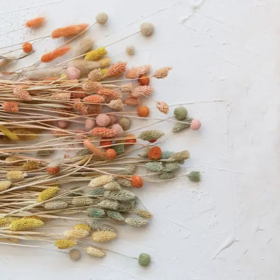 Hello Honey&reg; 19.5" Dried Natural Bunny Tail Grass Bunch, 3ct. {3}