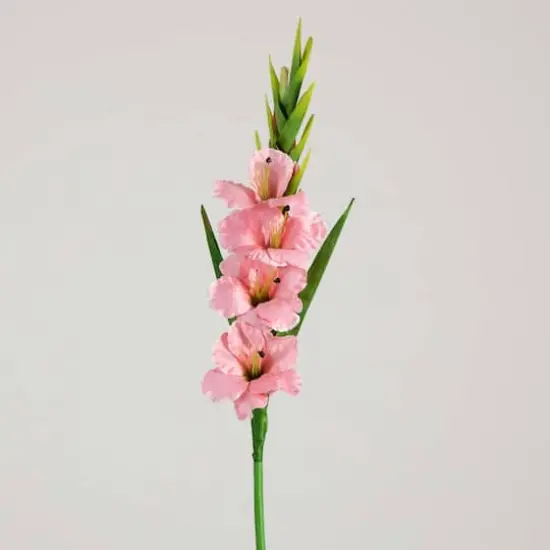 45" Pink Gladiolus Flower Stems, 3ct. {8}