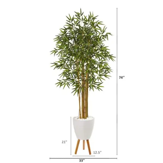 6ft. Multi Bambusa Bamboo Tree in White Planter with Stand {3}