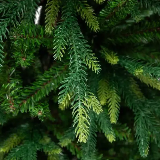 7.5ft. Unlit Real Touch&trade; 2-Tone River Deer Pine Full Artificial Christmas Tree {6}