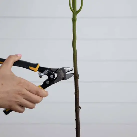 30" White Hydrangea Flower Stems, 3ct. {8}