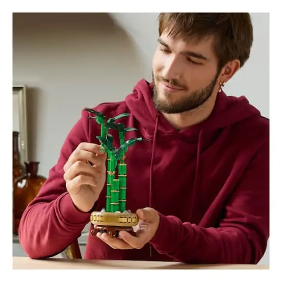 LEGO&reg; Botanicals&trade; Lucky Bamboo {4}