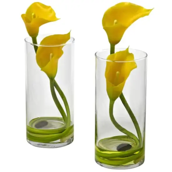 10.5" Yellow Double Calla Lily with Cylinder Vase, 2ct. {1}
