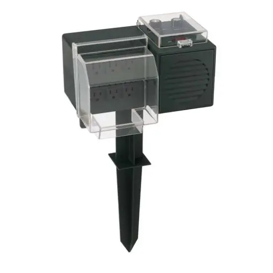 Outdoor Lights & Sounds {1}