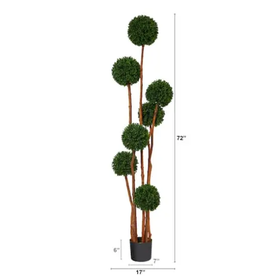 6ft. Potted Boxwood Multi-Ball Topiary Tree {3}