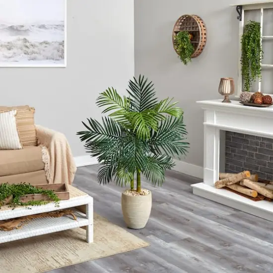 4.5ft. Golden Cane Palm Tree in Oval Planter {4}
