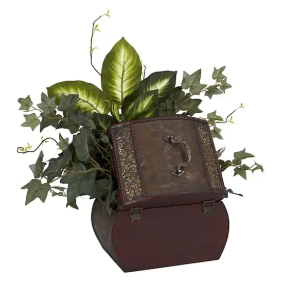 20" African Violet, Dumb Cane & Ivy in Decorative Chest {4}
