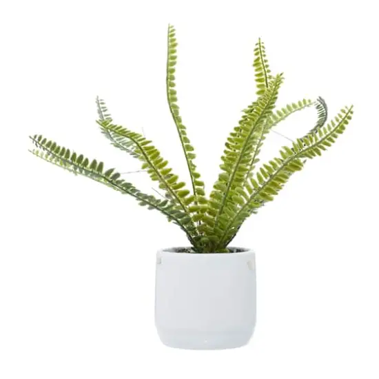 White Ceramic Contemporary Artificial Foliage, 14" x 12" x 13" {3}