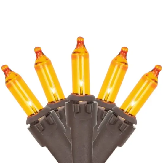 50ct. Amber Mini Fall Harvest Lights {1}