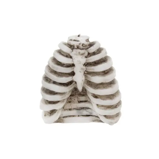 Ribs Bleeding Candle by Ashland&reg; {3}