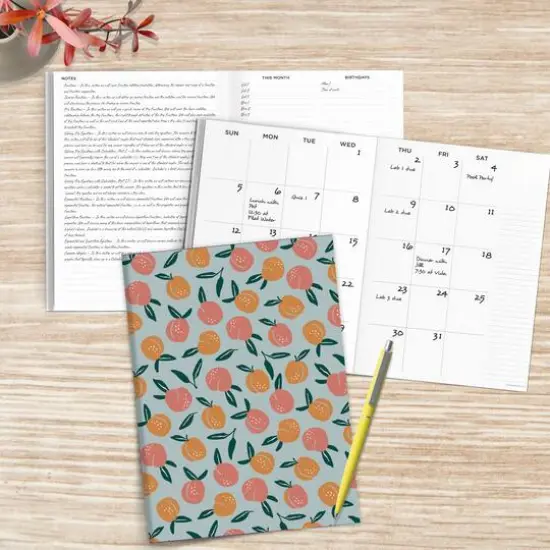 TF Publishing Medium Delicate Peach Boho Undated Monthly Planner {5}