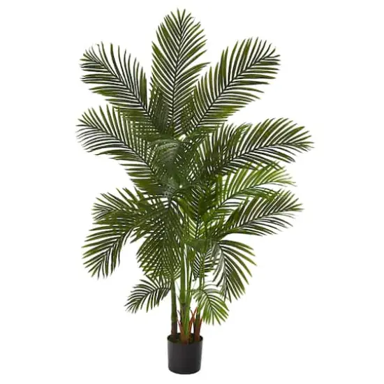 6ft. Potted Areca Palm Tree {1}