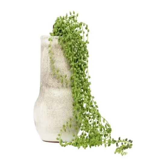 Hello Honey&reg; 41" Faux String of Pearl Pick {3}