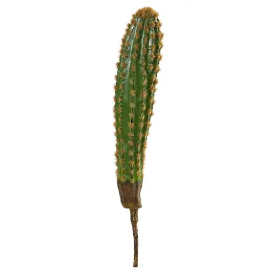 16" Cactus Plant, 6ct. {1}