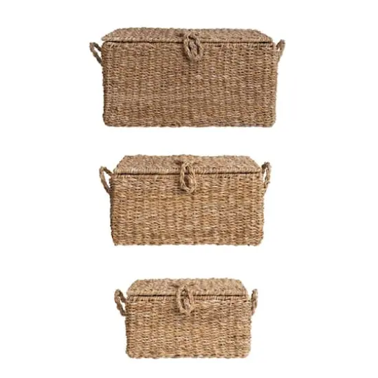 Hello Honey&reg; Natural Woven Seagrass Storage Trunk Set {1}
