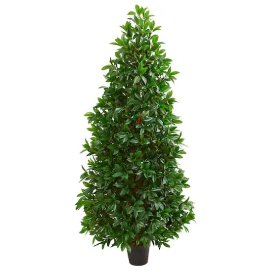 5ft. Potted Bay Leaf Cone Topiary Tree {1}