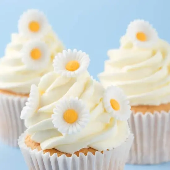 PME Cake Sweet Street&reg; White Daisy Icing Decorations {4}