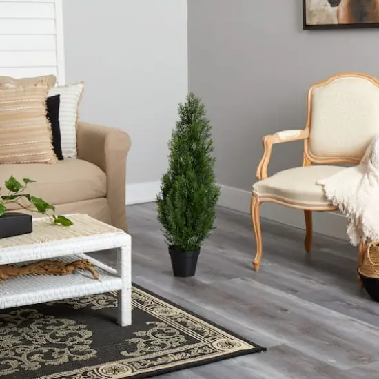 3ft. Potted Mini Cedar Pine Tree {6}