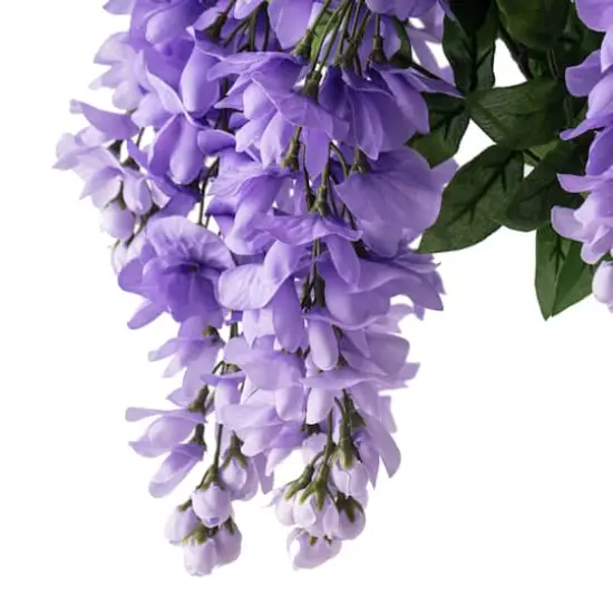 Purple Wisteria Bush by Ashland&reg; {3}