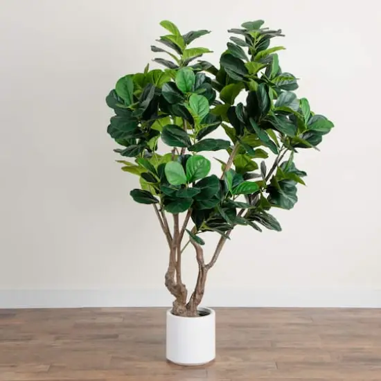 6ft. Artificial Grand Fiddle Leaf Tree in White Decorative Planter {4}