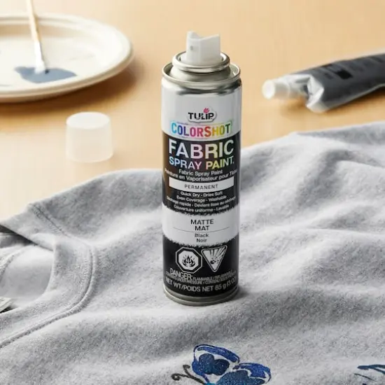 Tulip&reg; ColorShot Instant Fabric Color&trade; Black {4}