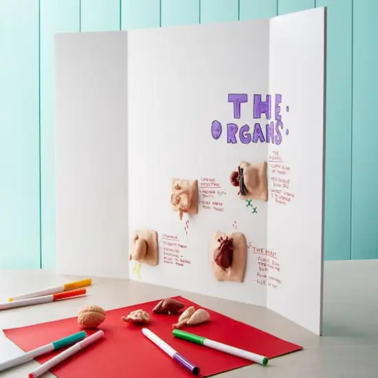 White Guide-Line 18" x 24" Foam Tri-Fold Display Board {3}