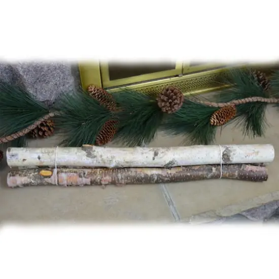Wilson&reg; Enterprises 3 Pack 24" Small Birch Pole {4}