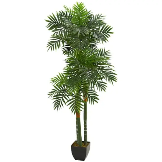 5.5ft. Potted Triple Stalk Areca Palm Tree {1}