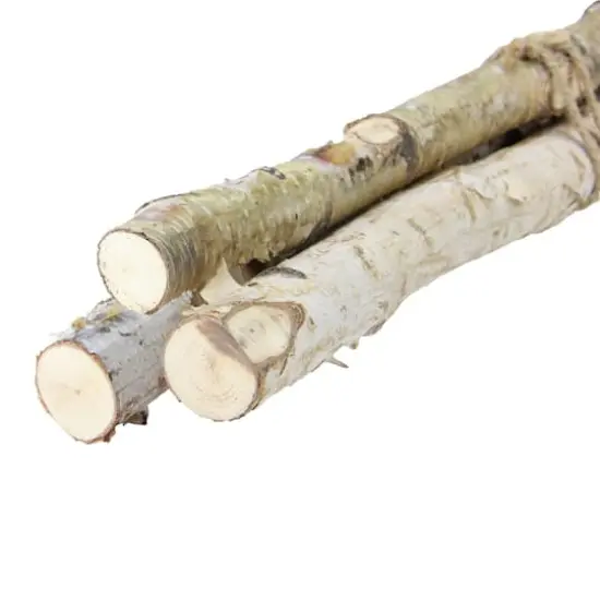 Brown Birch Wood Branch Bundle, 3ct. {3}
