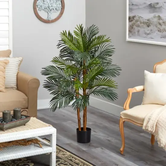 4ft. Potted Date Palm Tree {5}