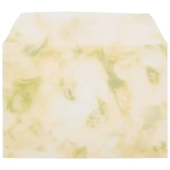 JAM Paper 5.063" x 7.188" Cello Sleeves with Self Adhesive Closures, 100ct. Green Floral {5}