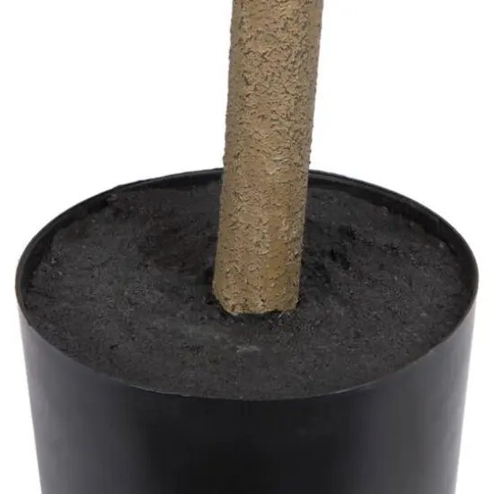 6ft. Potted Green Nandina Tree {6}