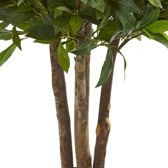 3ft. Potted Bay Leaf Topiary Tree {4}