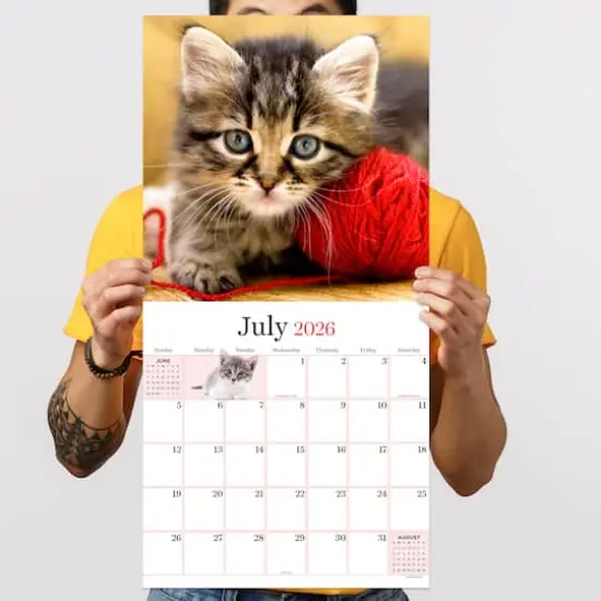 2026 Kittens Wall Calendar {5}