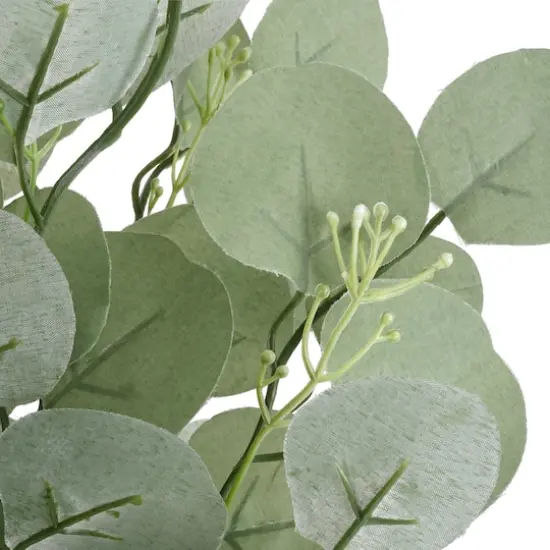 Eucalyptus Bush by Ashland&reg; {3}