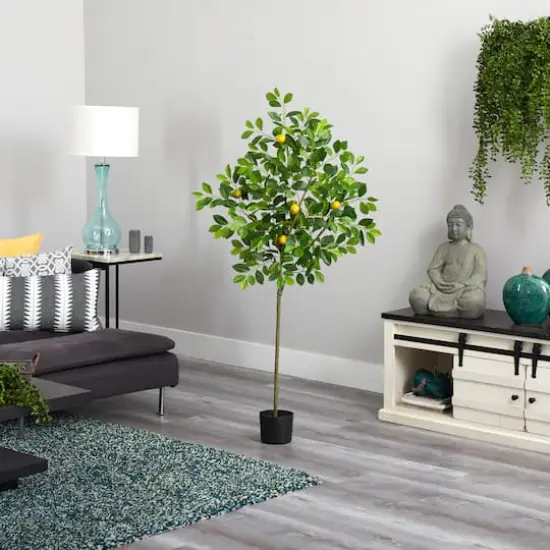 5ft. Potted Lemon Tree {6}