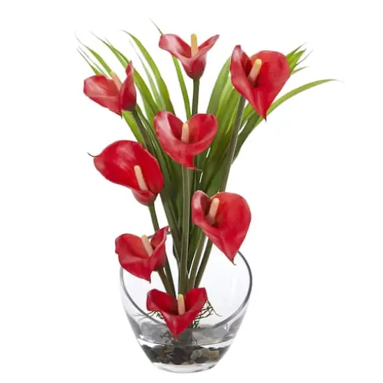 15.5" Red Calla Lily & Grass Arrangement in Vase {1}