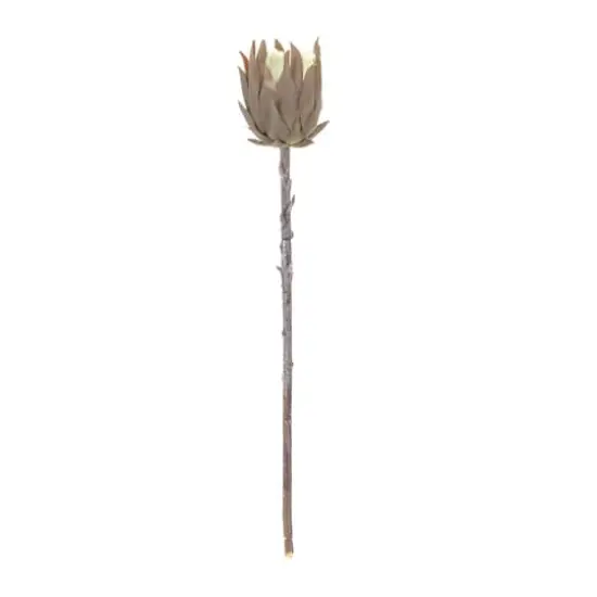 Tan Protea Stem, 6ct. {4}