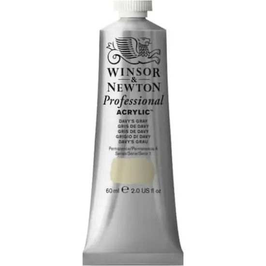 Winsor & Newton&reg; Professional Acrylic&trade; Paint Davy's Gray {1}