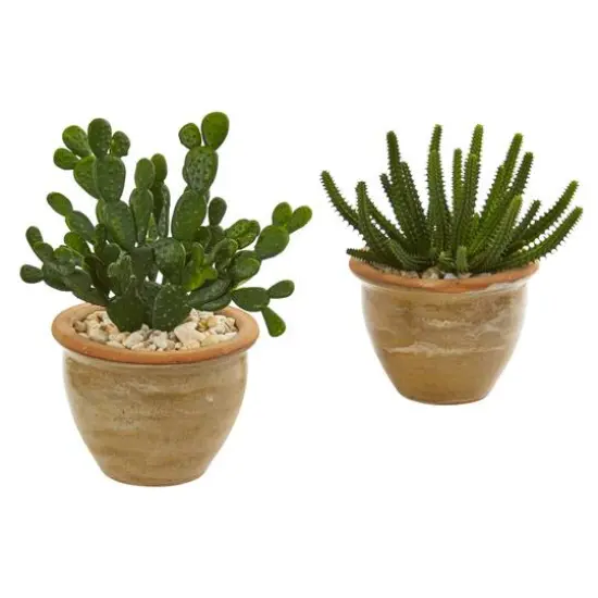 11" Cactus Succulent in Ceramic Vase Set {1}
