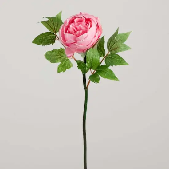 20" Pink Peony Flower Stems, 3ct. {9}