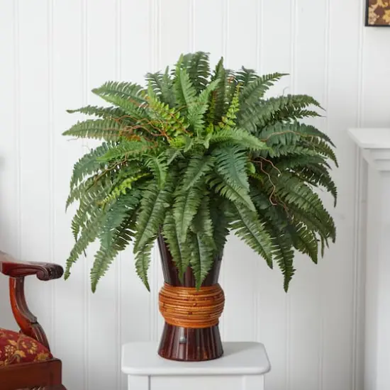 2.75ft. Boston Fern Plant in Bamboo Vase {3}
