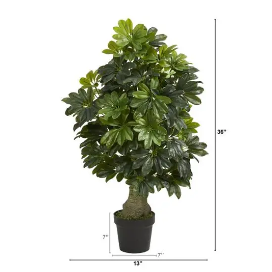 3ft. Potted Umbrella Tree {3}