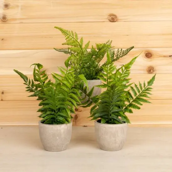 11" Potted Fern Plant Set {7}