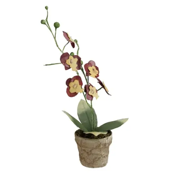 14" Crimson & Banana Yellow Potted Orchids {3}