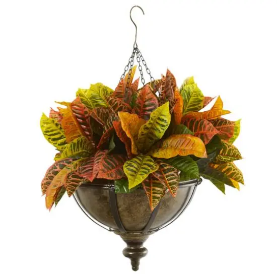 2.16ft. Garden Croton in Hanging Metal Bowl {1}