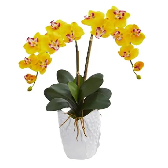 23" Double Phalaenopsis Orchid Arrangement in White Ceramic Vase Yellow {1}
