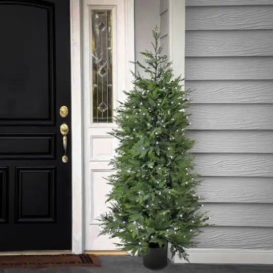 5ft. Pre-Lit Cypress Artificial Christmas Tree, Multi-Function LED Lights {3}