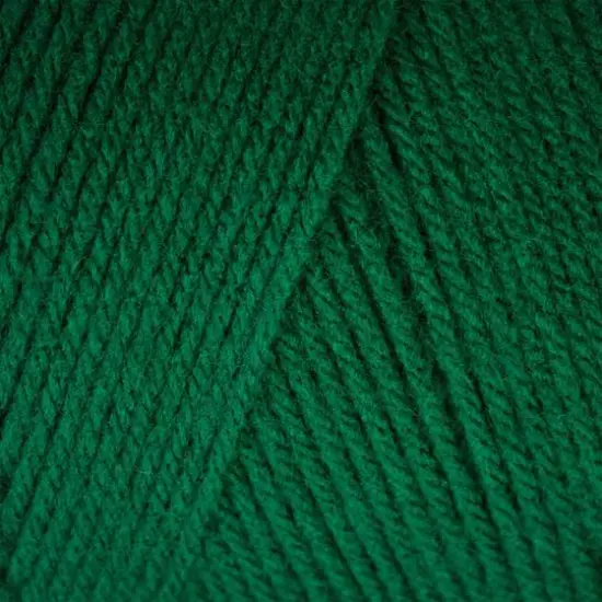 Caron&reg; One Pound&trade; Yarn Kelly Green {3}