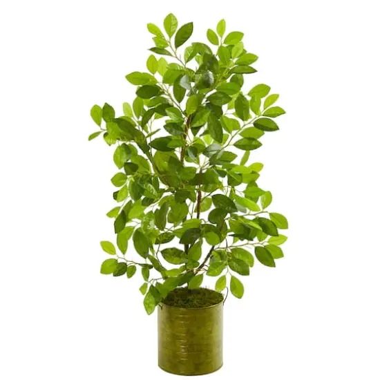 3ft. Ficus Tree in Green Planter {1}